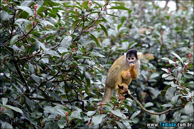 melhores-imagens-de-animais-09