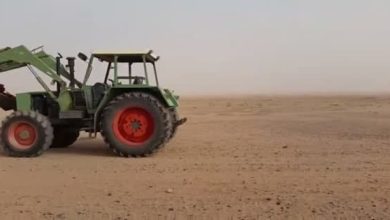 Apenas mais um dia de trabalho duro na arábias 6