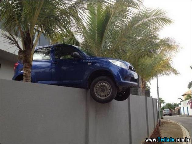 bom-humor-para-todos-05