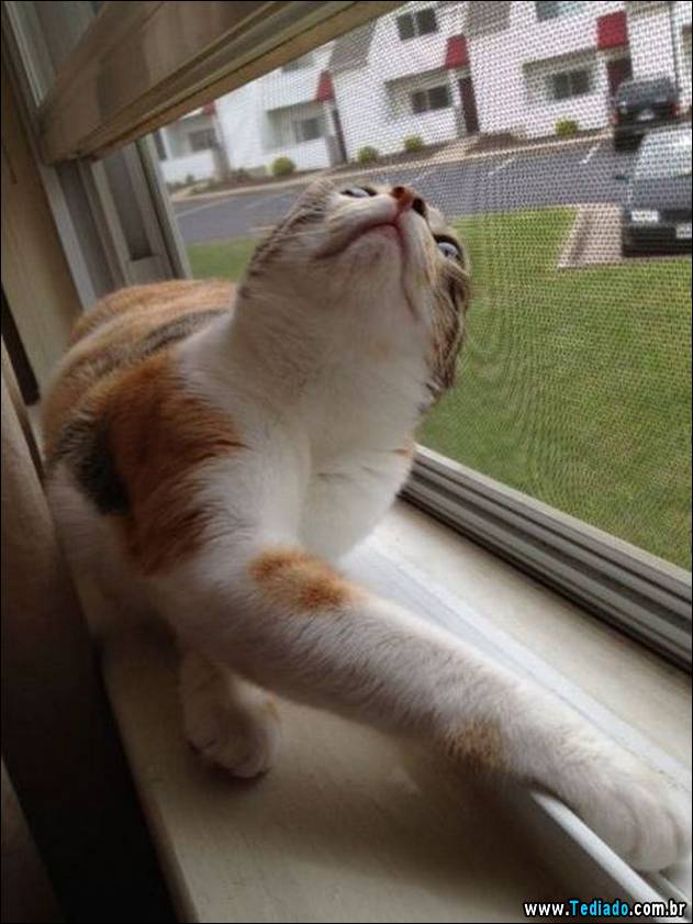 bom-humor-para-todos-08