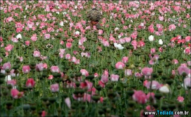 bom-humor-para-todos-10