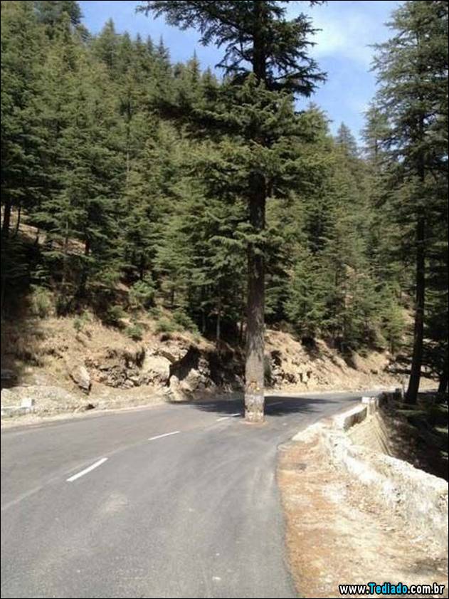 bom-humor-para-todos-14