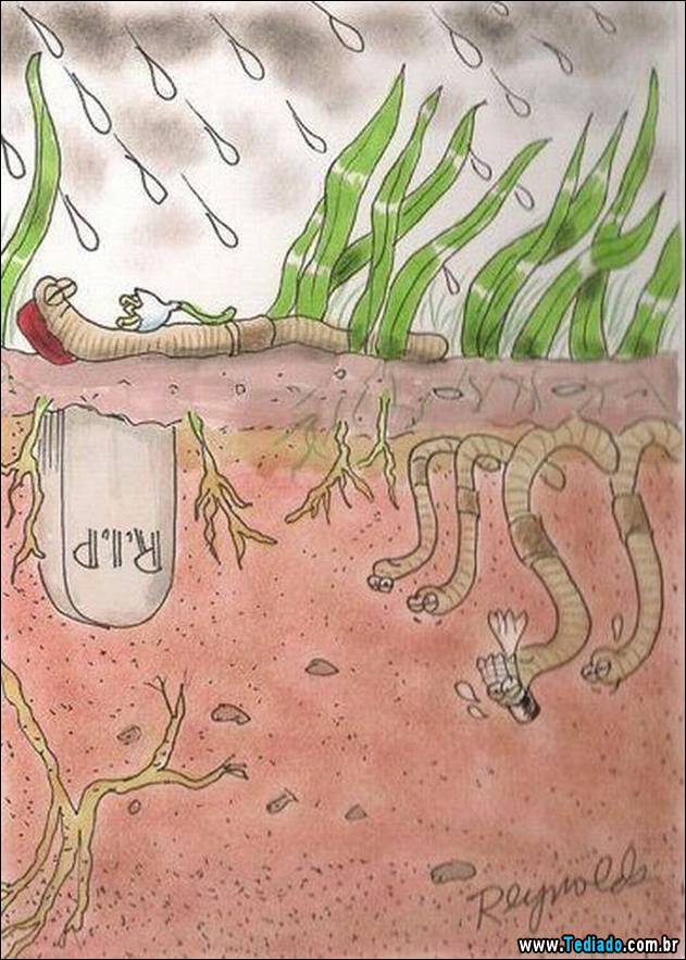 bom-humor-para-todos-16