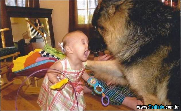 bom-humor-para-todos-18