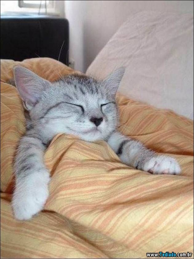 bom-humor-para-todos-20