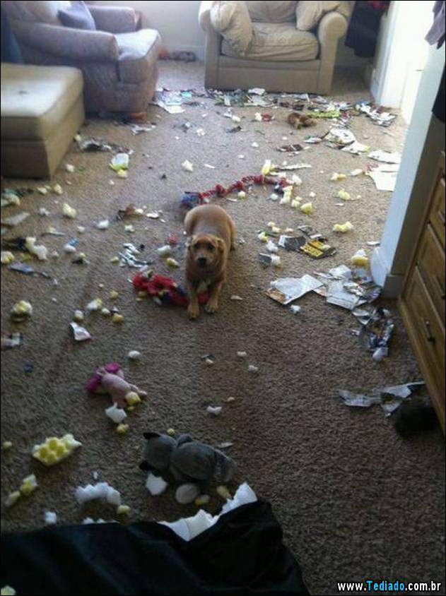 bom-humor-para-todos-27