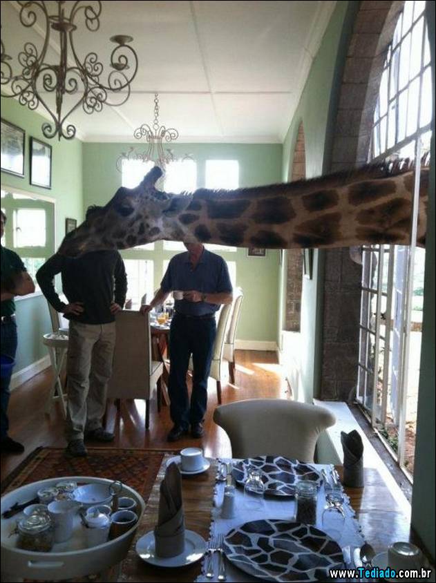 bom-humor-para-todos-39