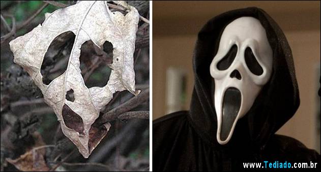 exemplos-de-semelhanca-05