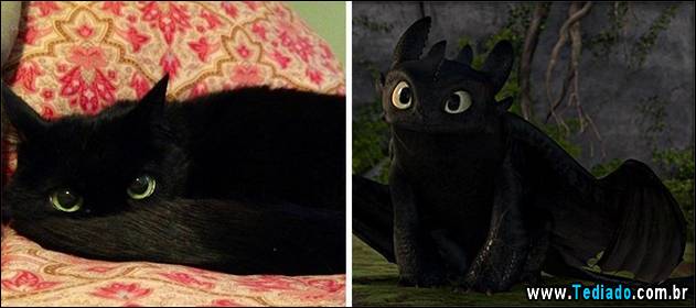 exemplos-de-semelhanca-08