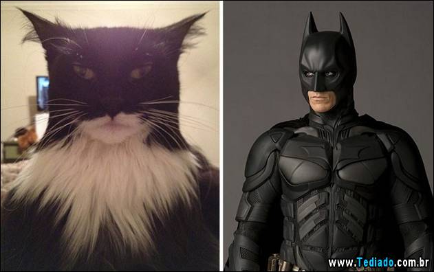 exemplos-de-semelhanca-15