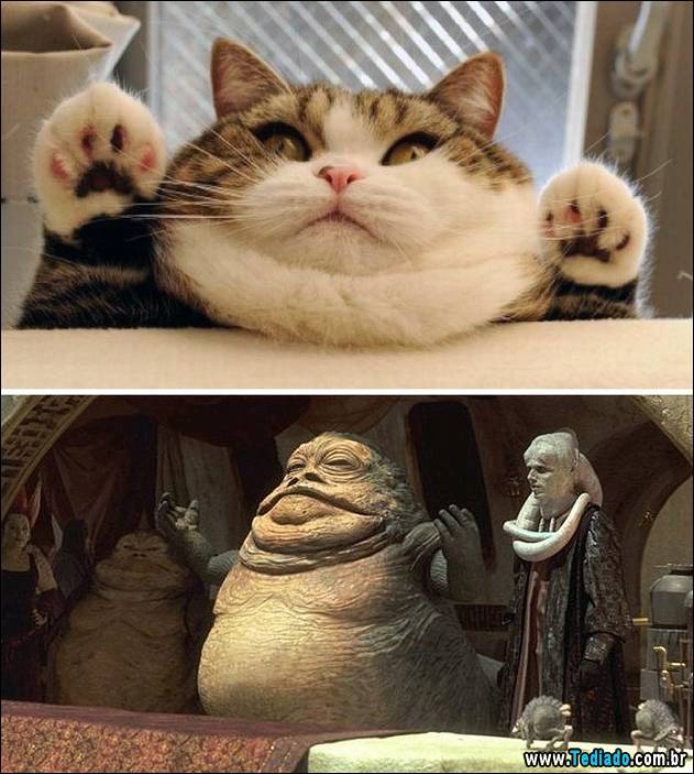 exemplos-de-semelhanca-21