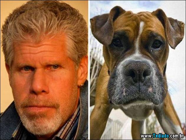 exemplos-de-semelhanca-24