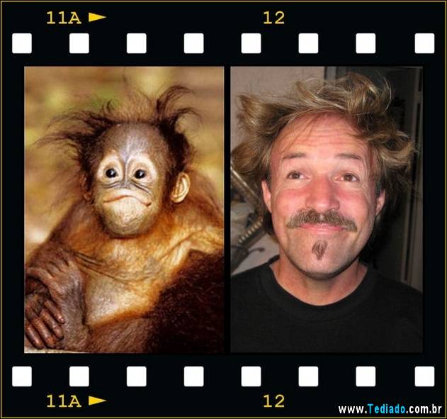 exemplos-de-semelhanca-25