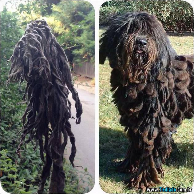 exemplos-de-semelhanca-29