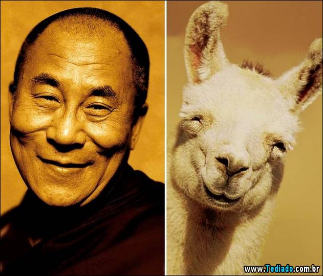 exemplos-de-semelhanca-37