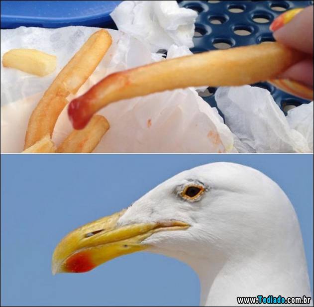 exemplos-de-semelhanca-40