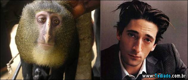 exemplos-de-semelhanca-43