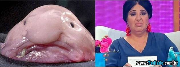 exemplos-de-semelhanca-45