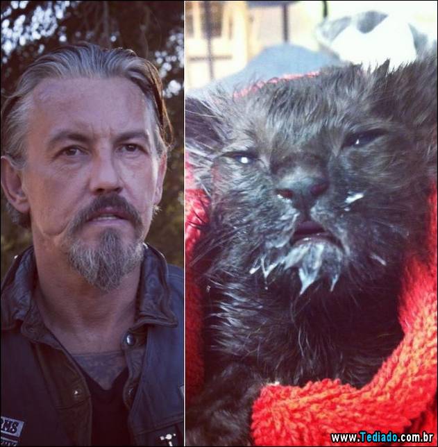 exemplos-de-semelhanca-46