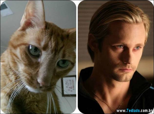 exemplos-de-semelhanca-47