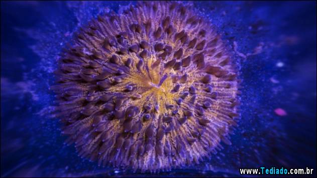 fotos-sem-photoshop-02