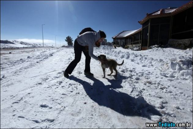 fotos-sem-photoshop-07
