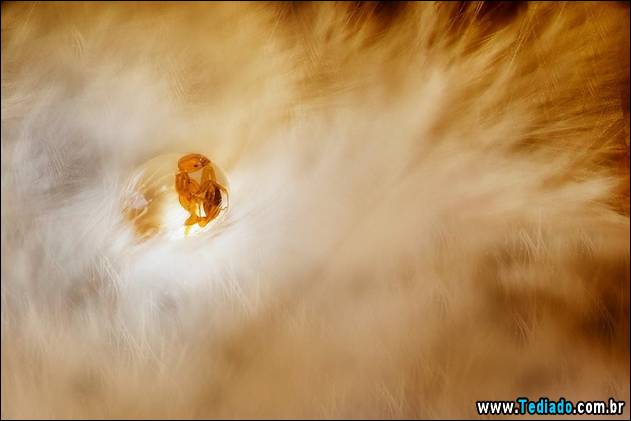 fotos-sem-photoshop-08