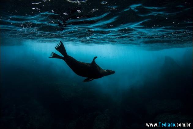 fotos-sem-photoshop-17