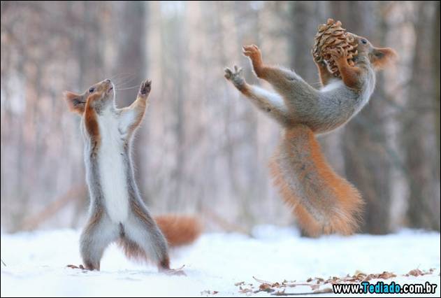 fotos-sem-photoshop-19