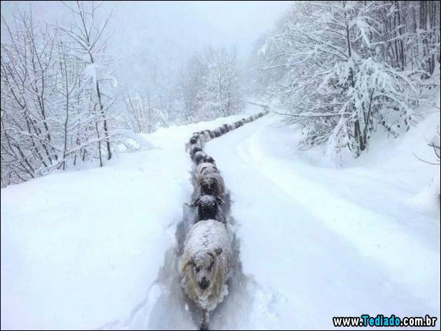 fotos-sem-photoshop-22