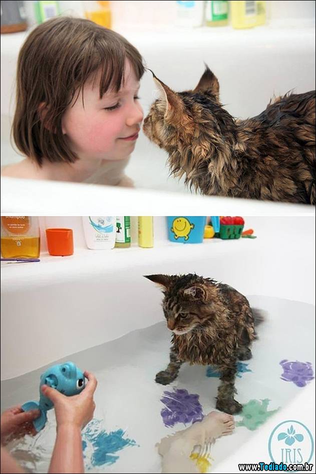 gatos-que-nao-tem-medo-de-agua-05