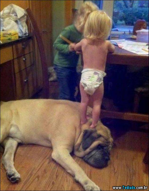 imagens-emocionais-08