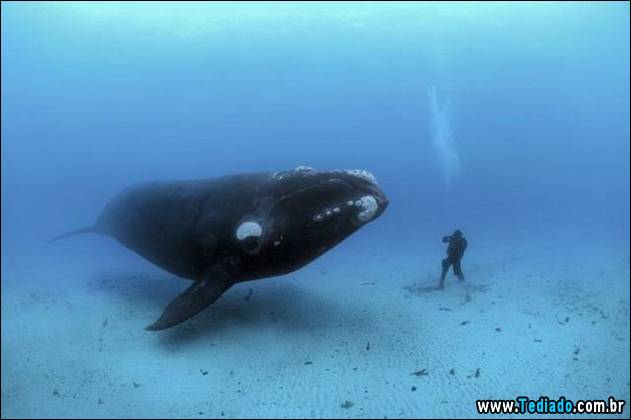 imagens-emocionais-13