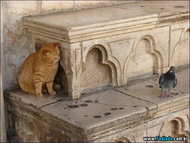 imagens-emocionais-16