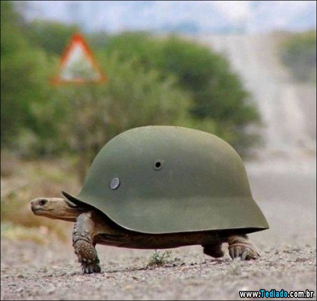 imagens-emocionais-18