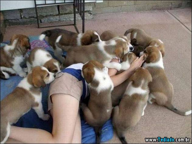 imagens-emocionais-20