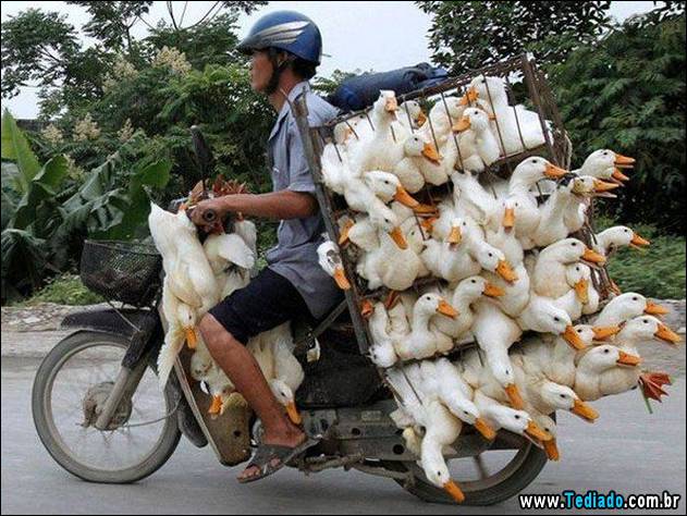 imagens-emocionais-22