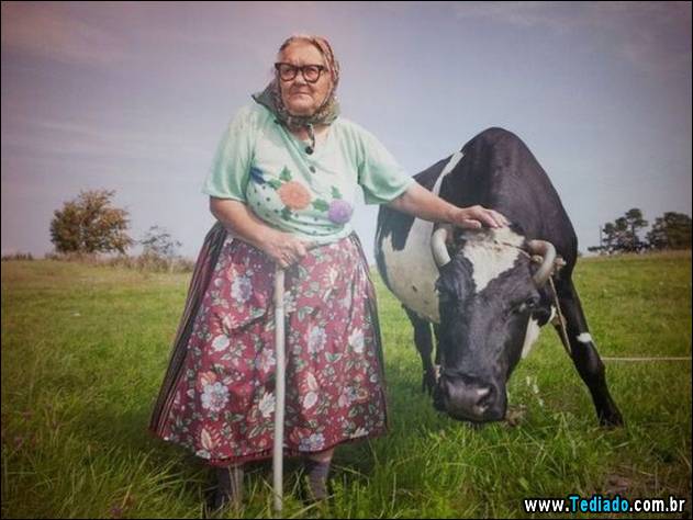 imagens-emocionais-23