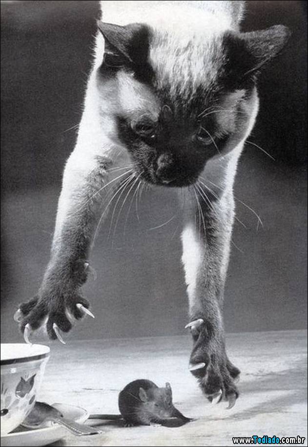 imagens-emocionais-25