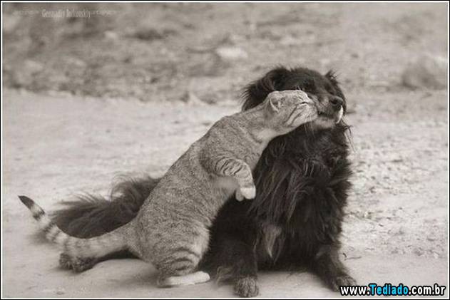 imagens-emocionais-27