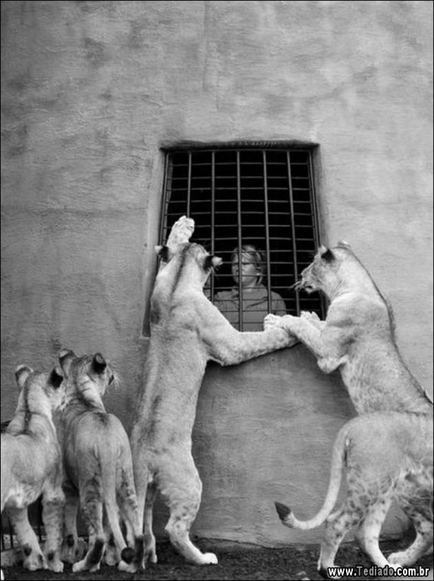 imagens-emocionais-28