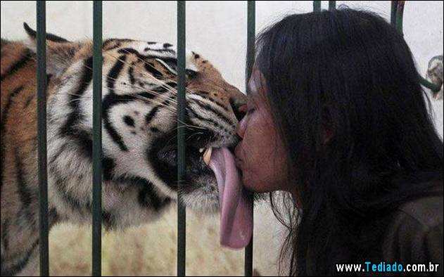 imagens-emocionais-31