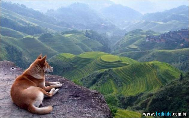 imagens-emocionais-31