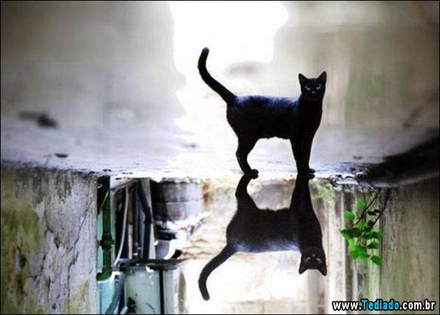 imagens-emocionais-32