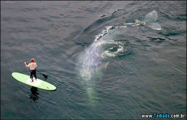 imagens-emocionais-40