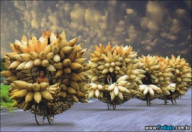 imagens-emocionais-46