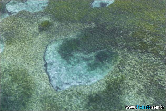 imagens-que-mostra-natureza-01