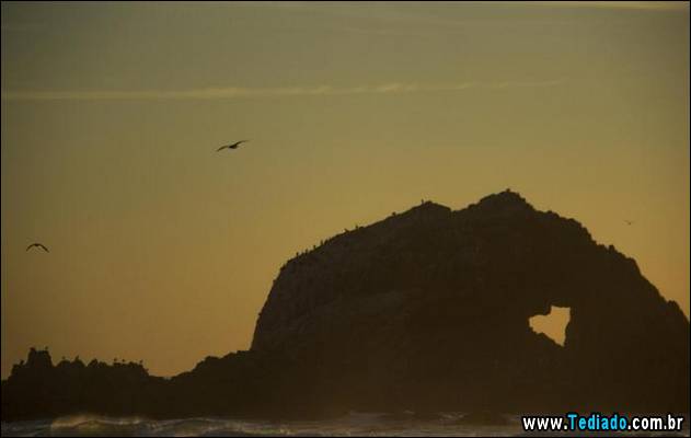 imagens-que-mostra-natureza-07