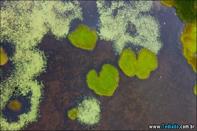 imagens-que-mostra-natureza-11