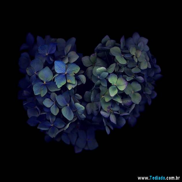 imagens-que-mostra-natureza-21